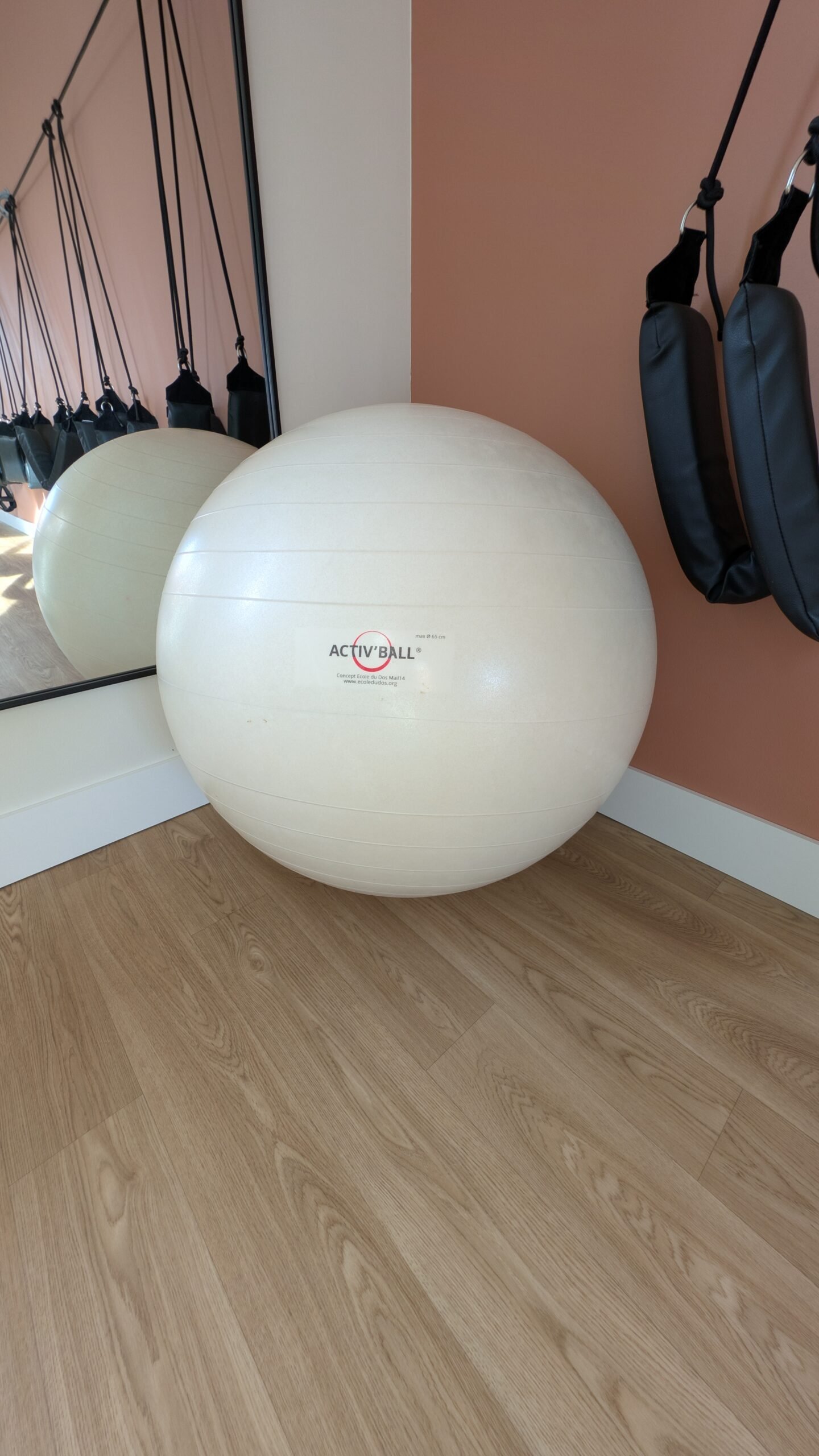 Ballon Ecole du Dos